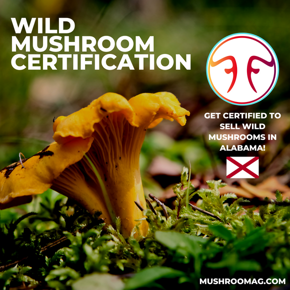 Alabama Wild Mushroom Certification