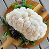 Customer photo - lions mane (slide 80)