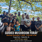 Group of visitors on a guided mushroom foray graphic