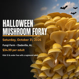 Guided mushroom foray graphic with yellow oyster mushrooms