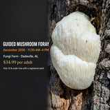Guided mushroom foray graphic showing lion's mane on a tree
