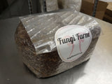 5 lb sterilized grain bag with a Fungi Farm label