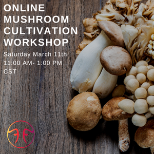 Online Mushroom Cultivation Workshops