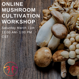Online Mushroom Cultivation Workshop (Zoom)