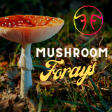 Guided mushroom foray graphic for Fungi Farm Alabama
