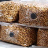 5 lb sterilized grain bag with injection port